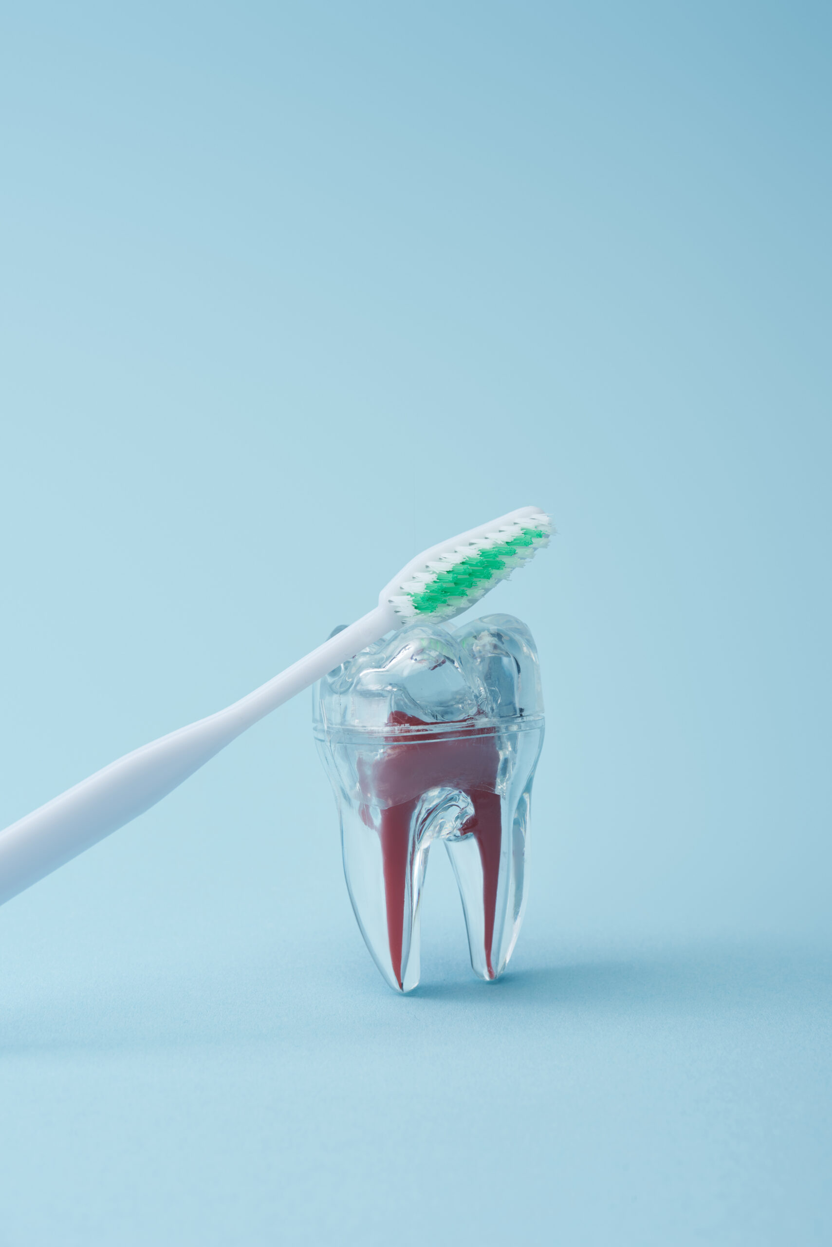 White toothbrush with green bristles and artificial transparent plastic tooth on blue background